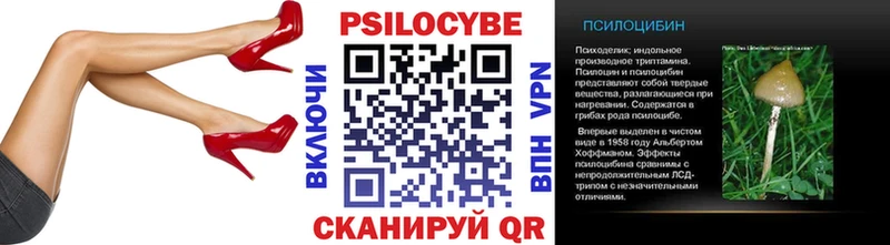 Псилоцибиновые грибы GOLDEN TEACHER  купить  сайты  Россошь 