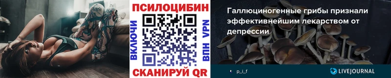 Псилоцибиновые грибы Psilocybine cubensis Россошь