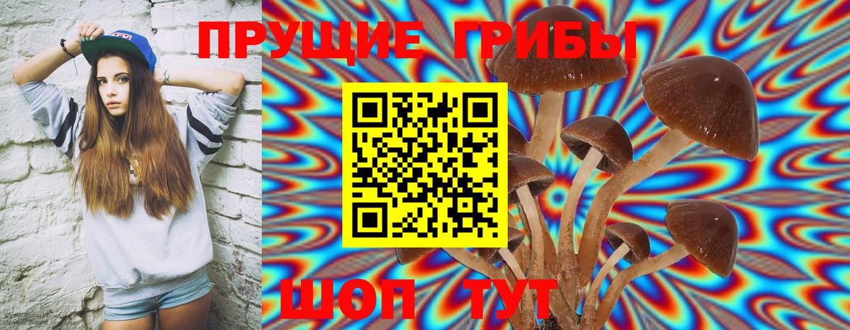 Псилоцибиновые грибы прущие грибы  Россошь 