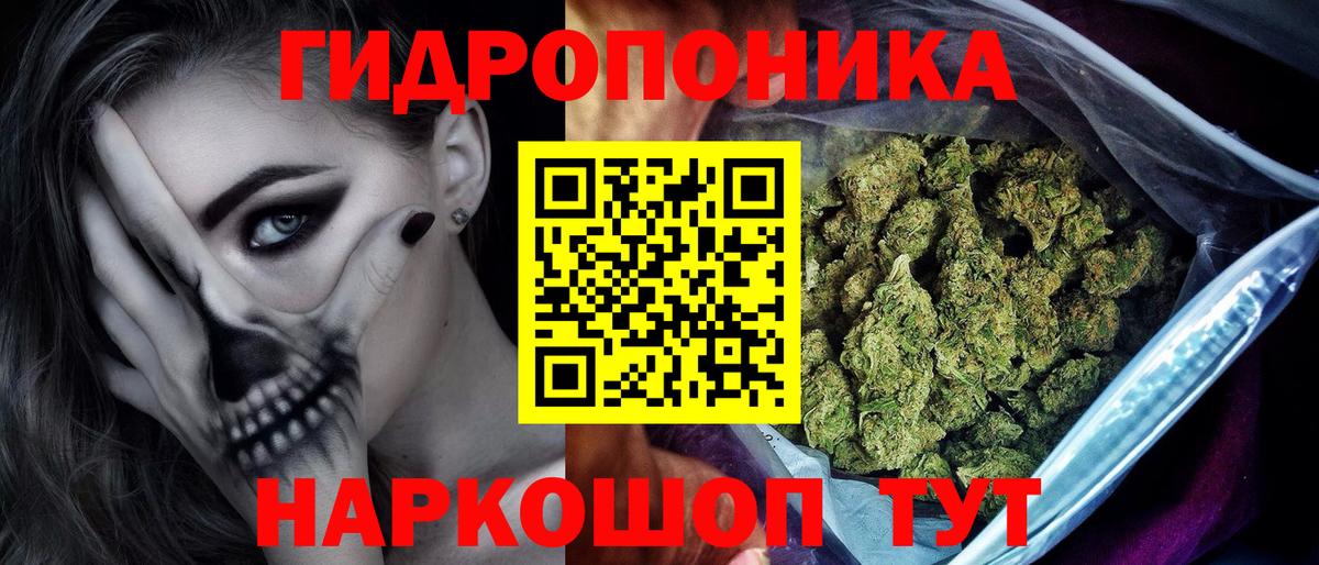 Бошки марихуана ГИДРОПОН  Вход с VPN  Бошки марихуана SATIVA & INDICA  Бошки марихуана ГИДРОПОН  Россошь 